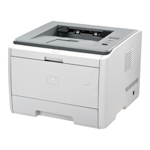 P 3100 DL P 3100 DL