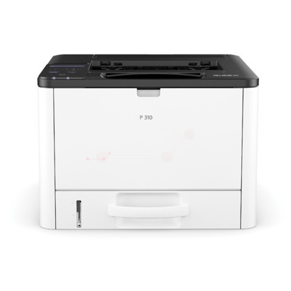 P 310 P 310
