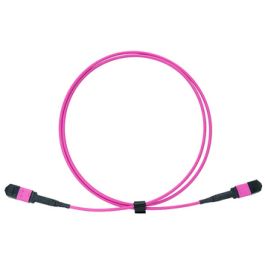 LogiLink Câble patch MPO, 12 fibres, Multimode, OM4, 5 m