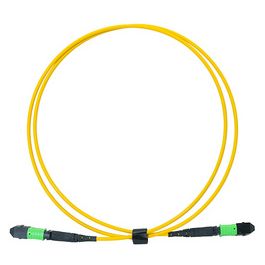 LogiLink Câble patch MPO, 12 fibres, Singlemode, OS2, 3 m
