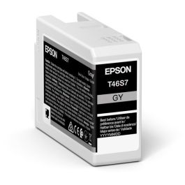 C13T46S700 / T46S7 - cartouche de marque Epson - grise