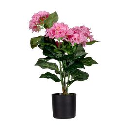 PAPERFLOW Plante artificielle "hortensia", (H)550 mm, rose