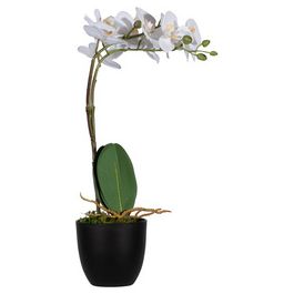PAPERFLOW Plante artificielle "orchidée", (H)400 mm, blanc