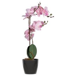PAPERFLOW Plante artificielle "orchidée", (H)500 mm, rose