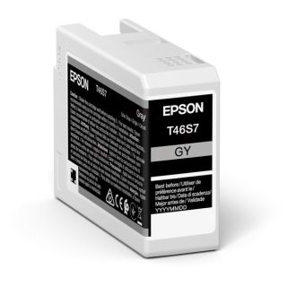 C13T46S700 / T46S7 - cartouche de marque Epson - grise