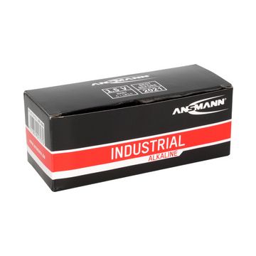 ANSMANN Pile alcaline "Industrial", Baby C, pack de 10