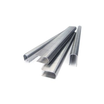TACWISE Agrafes pour câble CT-45/10 mm, galvanisé